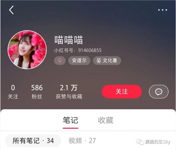 20230627-10 为大家揭秘小红书背景图的新套路。
