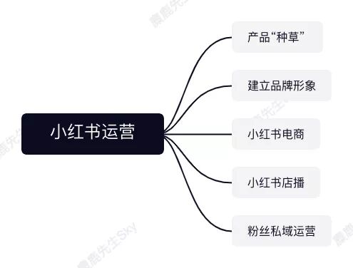 20230630-56 小红书运营团队组织架构设计方案